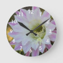 Recherche de fleur de cactus horloges Nature