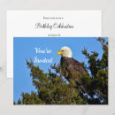 Recherche de oiseau de proie invitations Faune