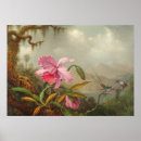 Search for martin johnson heade posters Hummingbird