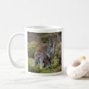 Search for kangaroo mugs Australian