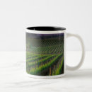 Search for field of colour mugs Nature