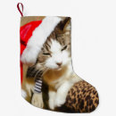 Search for siamese cat christmas stockings Winter