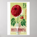 Recherche de fleur de dahlia posters Illustration vintage