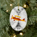 Search for aviation ornaments Fly