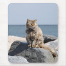 Recherche de bord mer tapis souris Photographie
