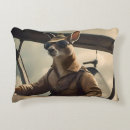 Search for aeroplane pillows Flying