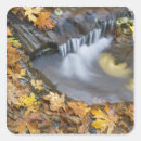 Search for fall creek stickers Autumn