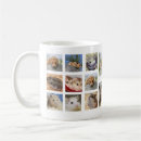 Recherche de gerbilles tasses Hamster