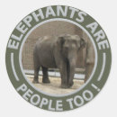 Recherche de zoo photographie Éléphant