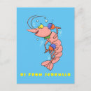 Recherche de crevettes cartes postales Langouste