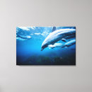 Search for diving dolphin art Sea
