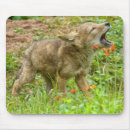 Search for schwarz mousepads Minnesota