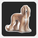 Search for afghan hounds gift wrap Cute