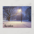 Search for snow tree postcards Night