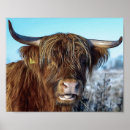 Recherche de beef posters Animal