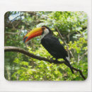 Recherche de toucan tapis souris Animal