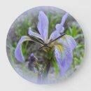 Recherche de iris horloges Bleu