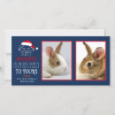 Search for bunny christmas cards Rabbit