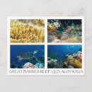 Recherche de plongée cartes postales Corail