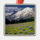 Search for mt rainier ornaments Flower