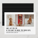 Search for black dog christmas cards Black and white