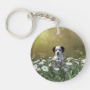 Search for dalmatian keychains Dog