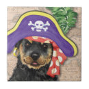Recherche de rottweiler carreaux Chiot