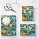 Search for blue and orange wrapping paper Stylish