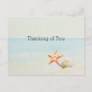 Search for beach shells postcards Starfish