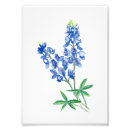 Recherche de 1 photo posters Botanique