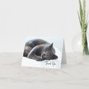 Search for grey cat cards Kitty