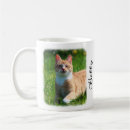 Recherche de felin tasses Cats