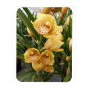 Recherche de orchidées magnets Fleur