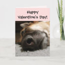 Search for lovers valentines day cards animals