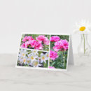 Search for coffee cup cards Flower