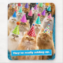 Search for cats mousepads Pets
