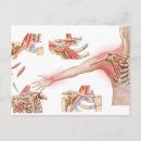 Search for detailing postcards No people