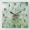 Recherche de pissenlits horloges Herbe