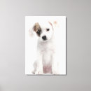 Recherche de croisé impressions sur toile Animal