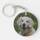 Recherche de plomb porteclés Golden retriever