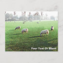 Recherche de blenheim cartes postales Oxfordshire