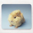 Search for guinea pig mousepads Nature