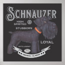 Search for schnauzer art Giant
