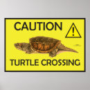 Recherche de tortue posters Jaune
