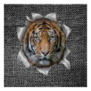 Recherche de bengal tiger posters Tigre du bengale