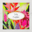 Recherche de fleur gingembre cartes postales Torche