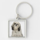 Search for tibetan keychains Animal
