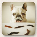 Search for moustaches coasters Humour