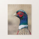 Recherche de faisans puzzles Animal