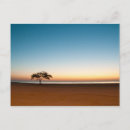 Recherche de arbre solitaire cartes postales Nature